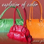 ostrich-handbags Luxury ostrich handbags