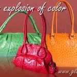 Luxury ostrich handbags