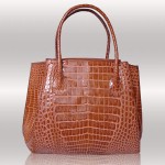 Ligator croc  handbag