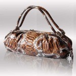 Luxury python brown bag