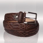 Python brown belt