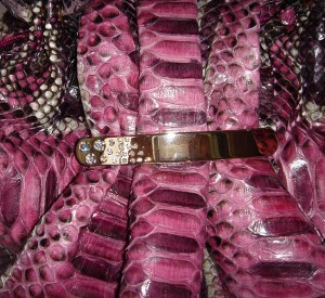 Python skin