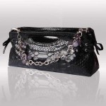 Black python clutch