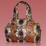 Luxury python Trunk bag