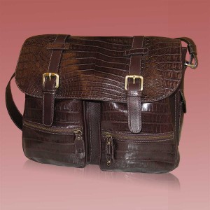 Professional and Travel bags prestigious leather
