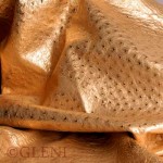 Gold ostrich leather by Gleni
