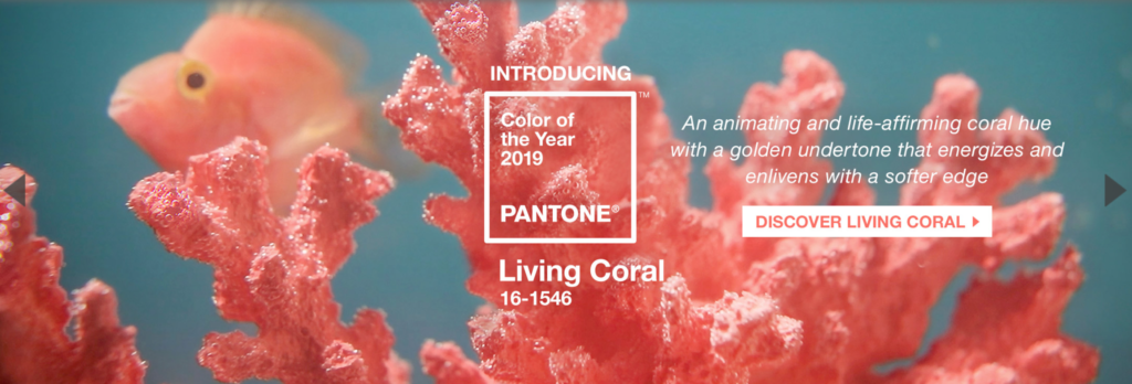 Color of the year 2019