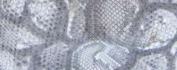 Python, couleur Gris