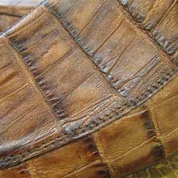 What is the difference between crocodile skin and alligator skin