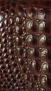 care cocco skin