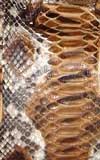 python leather