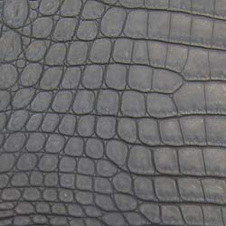 Which are the main differences among genuine crocodile, alligator and caiman  leathers?