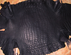 alligator-skin