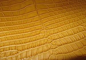 CUIR DE CROCODILE OU D'ALLIGATOR 
