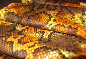 CUIR DE PYTHON