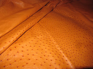 CUIR D'AUTRUCHE