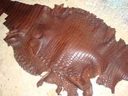 alligator-skin