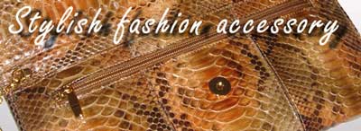Stylish fashion accessories