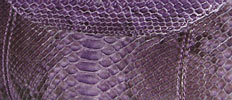 Violet color python skin
